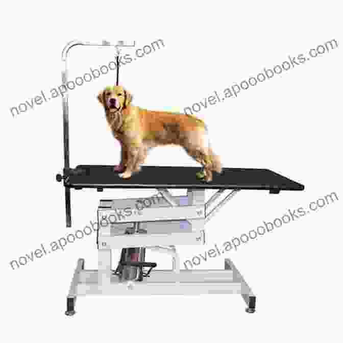 A Dog Sitting Calmly On A Grooming Table. Grooming Without Stress: Safer Quicker Happier: Setting The 21st Century Grooming Table Up For Success By Employing Low Stress Handling Techniques