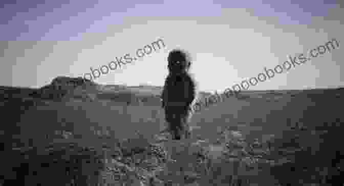 A Grainy Image Of A Large, Hairy Creature Standing Among Trees The Best Of Sasquatch Bigfoot