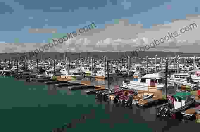 A Panoramic View Of Bayside Harbor, With Sailboats And Fishing Boats Docked Along The Shore. The Town's Colorful Buildings Line The Waterfront, With The Bayside Gazette Office Prominently Featured, Where Maggie Works As A Journalist. Gone To The Dogs (A Dog Lover S Mystery 6)