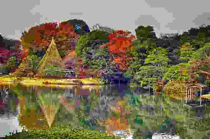 A Serene Image Of A Hidden Temple Garden In Tokyo, Captured With Pat Kay's Photography Guide Pat Kay S Photography Guide To Tokyo