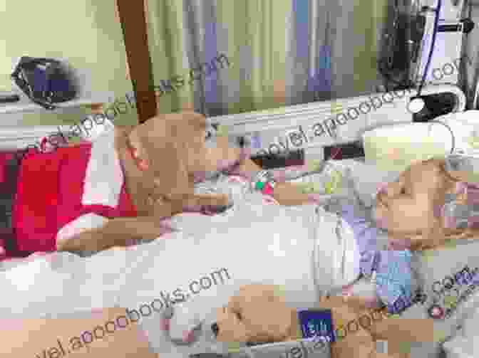 A Therapy Dog Comforting A Young Girl In A Hospital Setting Therapy Dogs Today Their Gifts Our Obligation 2nd Edition