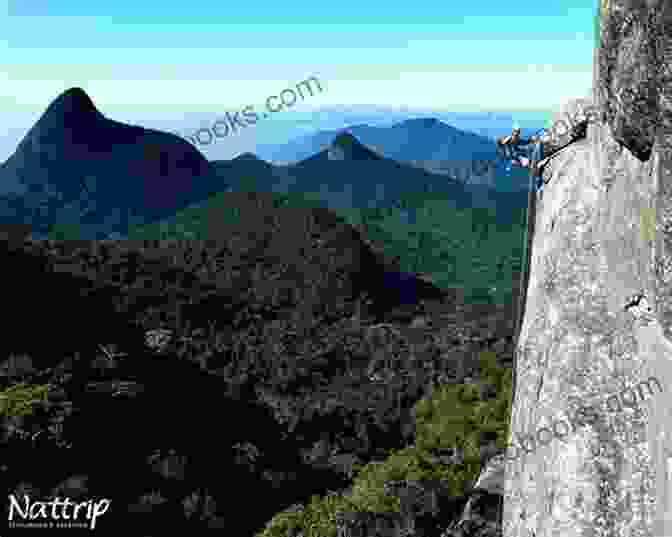 A Tranquil View Of The Tijuca National Park Aquarela Trip Come To Rio: Virtual Trip To Rio De Janeiro