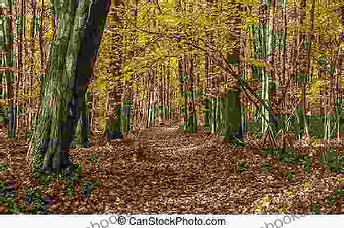 A Winding Path Lined With Trees Ablaze With Fall Foliage Nature Powered Poems