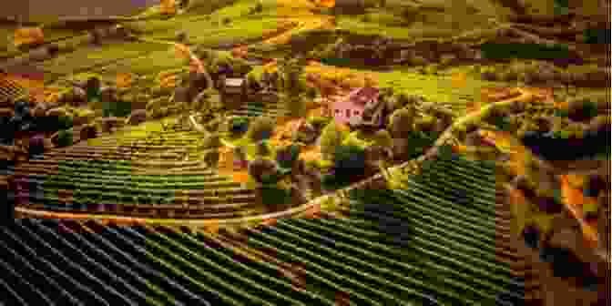 Aerial View Of A Vineyard Nestled Amidst The Vast, Arid Landscape Of A Cattle Station In The Australian Outback The Vintage Years: New Vineyard On A Cattle Station