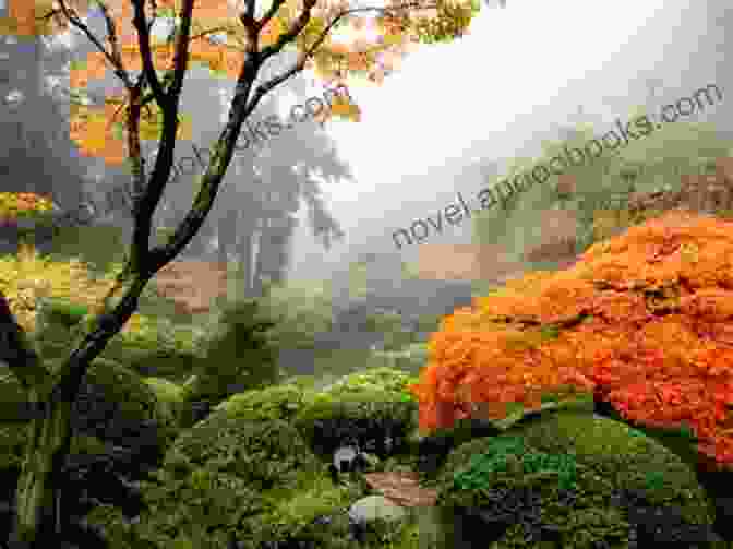 Asymmetrical Path Leading Through A Japanese Garden, Surrounded By Lush Vegetation And Rocks. #japanesegarden: Japanese Style Garden Photo Book: The Microcosmos Of Zen Spirit