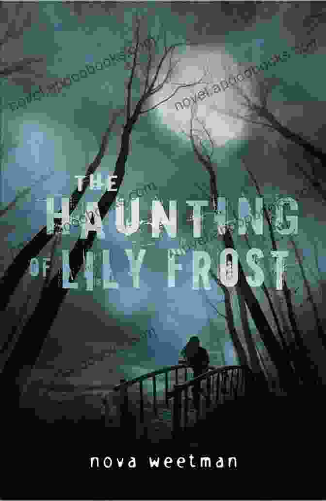 Chilling Novel With A Dark And Atmospheric Setting In The North Channel Death In The North Channel: The Loss Of The Princess Victoria January 1953