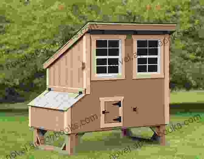 Compact Coop For A Micro Flock Of Chickens City Chicks: Keeping Micro Flocks Of Chickens