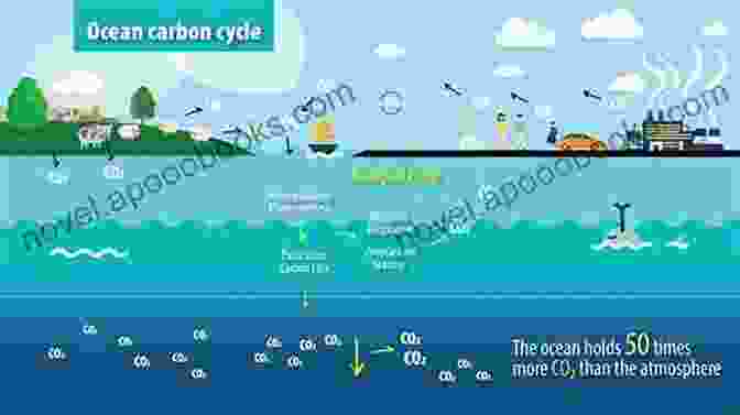 Diagram Of The Ocean Carbon Cycle, Illustrating The Exchange Of Carbon Between The Atmosphere, Ocean, And Land The Ocean Carbon Cycle And Climate: Proceedings Of The NATO ASI On Ocean Carbon Cycle And Climate Ankara Turkey From 5 To 16 August 2002 (NATO Science Series: IV: 40)