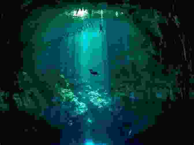 Elara, Alone In A Dark Underwater Cavern, Contemplating Her Inner Journey The Girl Of The Sea Of Cortez: A Novel