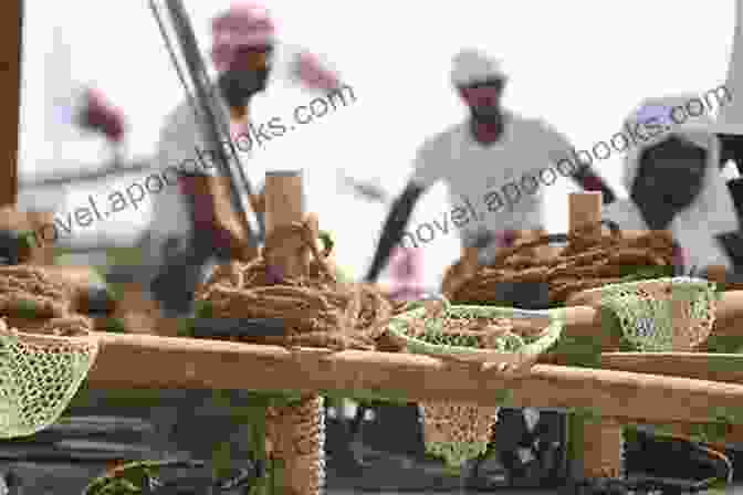 Filipino Pearl Divers Working Off The Coast Of California Asian American History For Kids: Asians In America Before 1900