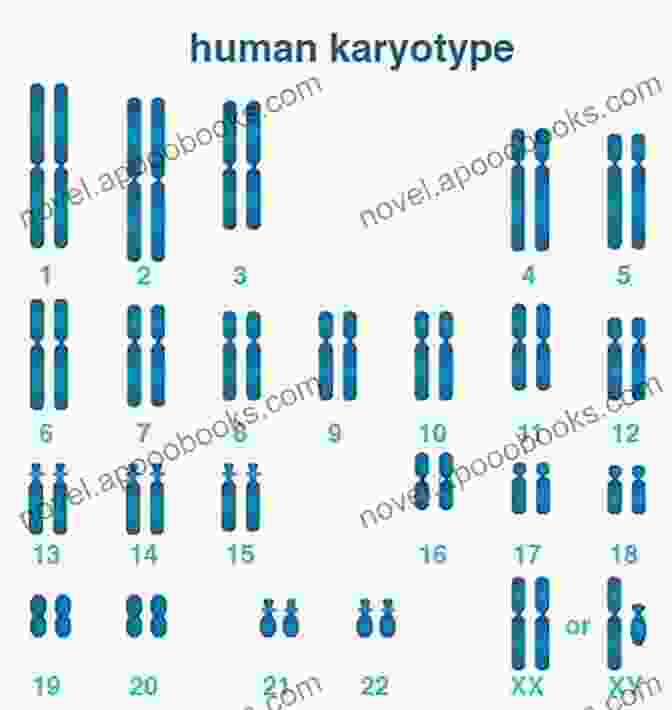 Human Chromosomes What Makes You Unique?: The Secrets Of Genes And Heredity