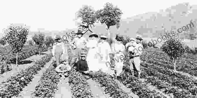 Japanese Farmers Working In A California Field Asian American History For Kids: Asians In America Before 1900