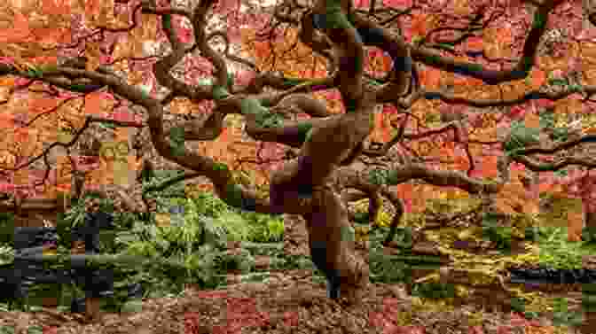 Japanese Garden Displaying Vibrant Autumn Foliage, Creating A Spectacular Display Of Seasonal Beauty. #japanesegarden: Japanese Style Garden Photo Book: The Microcosmos Of Zen Spirit