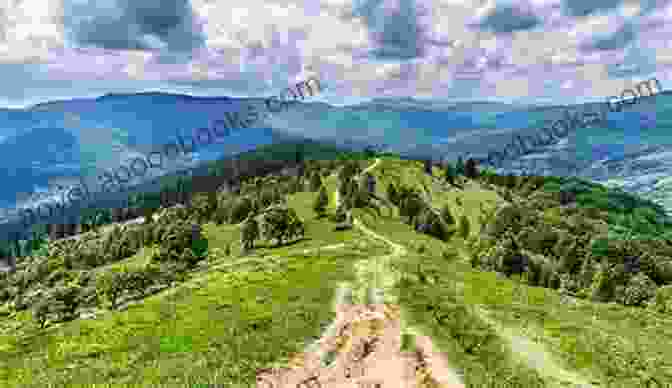 Panoramic View Of The Carpathian Mountains In Western Ukraine Ukraine: What Everyone Needs To Know About Ukraine: Foreigners In Ukraine