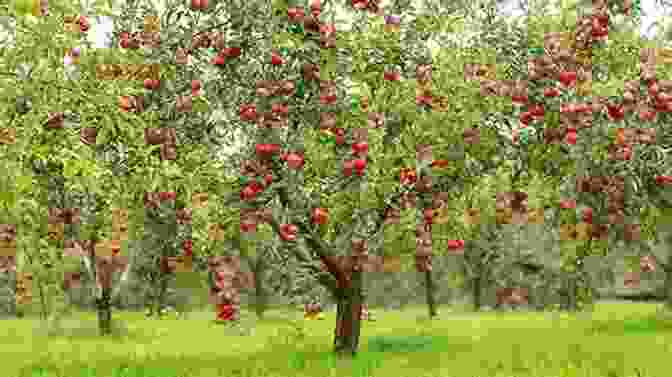 Smart Persaud Stands In The Middle Of A Lush Apple Orchard, Surrounded By Colorful Trees And Playful Animals Smart: O Persaud (The Apple Orchard 3)