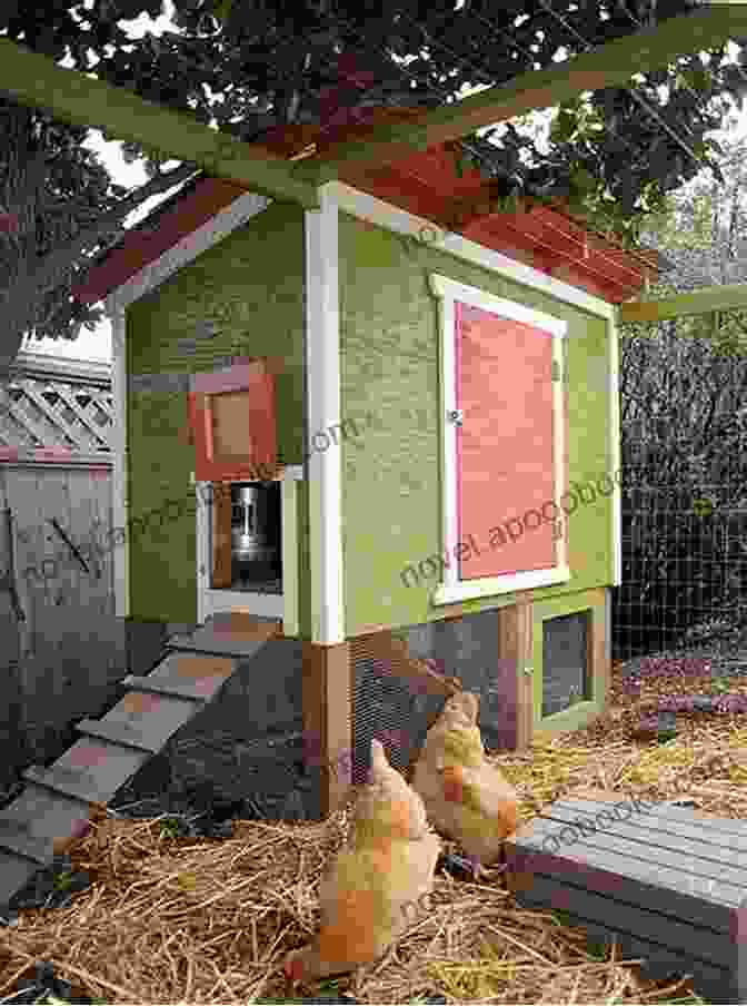 Stylish Urban Coop Design City Chicks: Keeping Micro Flocks Of Chickens