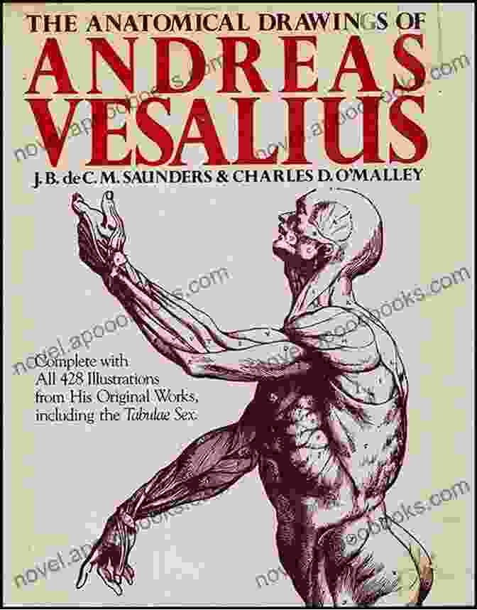 The Journey Of Andreas Vesalius Book Cover A Historical Exploration Of Human Anatomy The King S Anatomist: The Journey Of Andreas Vesalius