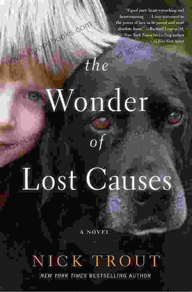 The Wonder Of Lost Causes Novel The Wonder Of Lost Causes: A Novel