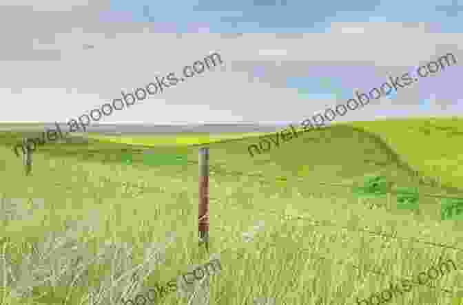 Vast, Rolling Prairie Fields Under A Vibrant, Sun Kissed Sky, Evoking The Captivating Setting Of 'Green Grows The Prairie' Green Grows The Prairie: Arkansas In The 1890 S (Heritage History)