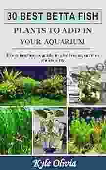 30 BEST BETTA FISH PLANTS TO ADD IN YOUR AQUARIUM: Every beginners guide to give live aquarium plants a try