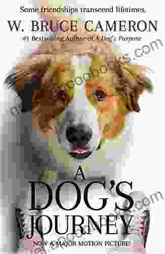 A Dog s Journey: A Novel (A Dog s Purpose 2)