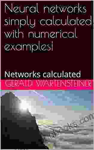 Neural Networks Simply Calculated With Numerical Examples : Networks Calculated