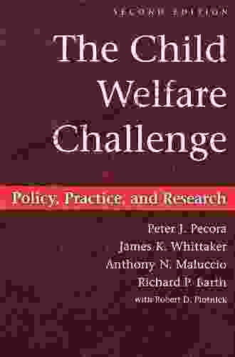 The Child Welfare Challenge: Policy Practice And Research (Modern Applications Of Social Work Series)