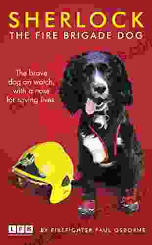 Sherlock: The Fire Brigade Dog