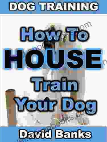 How To House Train Your Dog