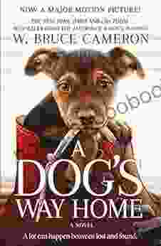 A Dog S Way Home: A Novel (A Dog S Way Home Novel 1)