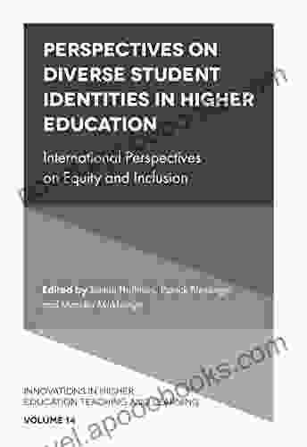 Perspectives On Diverse Student Identities In Higher Education: International Perspectives On Equity And Inclusion (Innovations In Higher Education Teaching And Learning 14)