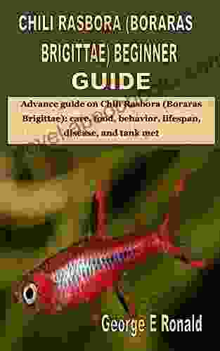 CHILI RASBORA (BORARAS BRIGITTAE) BEGINNER GUIDE: Advance Guide On Chili Rasbora (Boraras Brigittae): Care Food Behavior Lifespan Disease And Tank Met