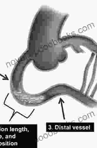 Percutaneous Intervention For Coronary Chronic Total Occlusion: The Hybrid Approach