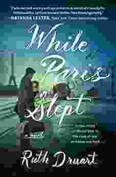 While Paris Slept: A Novel